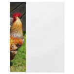 Strutting Rooster Custom Flyer