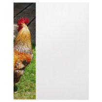 Strutting Rooster Letterhead