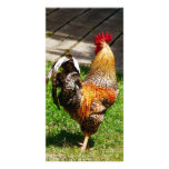 Strutting Rooster Personalized Photo Card