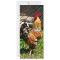 Strutting Rooster Rack Card Template