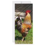 Strutting Rooster Rack Card Template