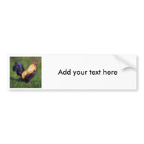 (Stuart Bantam Rooster Bumper Stickers