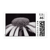 stubble & flow postage by blacqbook stubble & flow postage