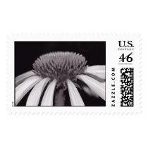 stubble & flow postage