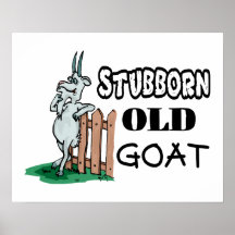 Stubborn Old Goat Print