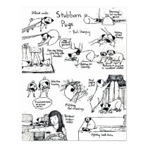 Stubborn Pugs Print
