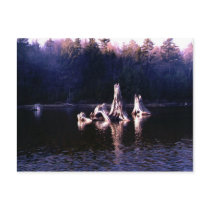stubs postcards