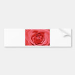 stuck here bumper sticker