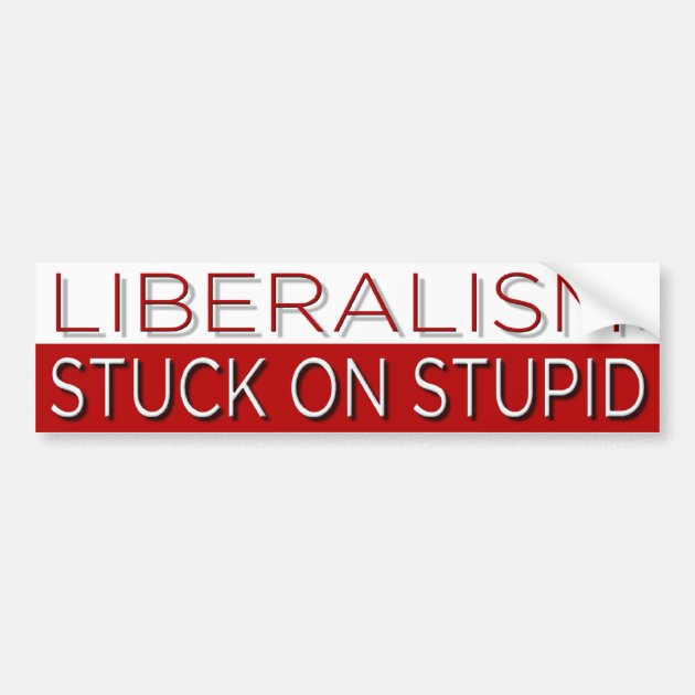 Stuck On Stupid Bumper Sticker | Zazzle