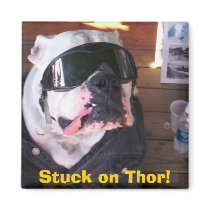 Stuck on Thor! magnets by thoracle1 Stuck on Thor! magnets