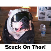 Stuck On Thor! photo sculptures by thoracle1 Stuck On Thor! photo sculptures