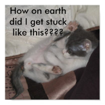 Stuck! posters