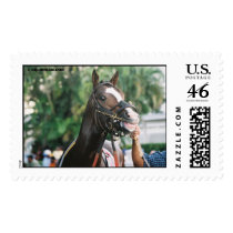 Stud Chain at Calder Race Course postage