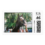 Stud Chain at Calder Race Course postage