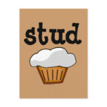 Stud Muffin, Cute Funny Baked Good Postcard