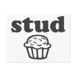 Stud Muffin Postcards