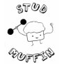 Stud Muffin T-shirts