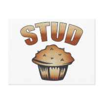 Stud Muffin Wash Design Postcard