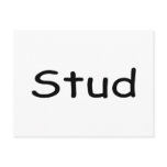 Stud Postcards