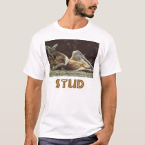stud t-shirts
