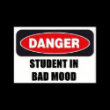 Student in Bad Mood! magnet