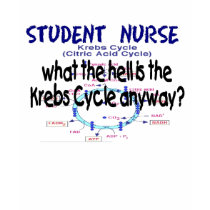 STUDENT NURSE KREBS CYCLE T-Shirt