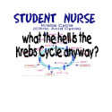 STUDENT NURSE KREBS CYCLE T-Shirt