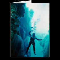 Student Phil Evans diving in Piccannini Ponds cards