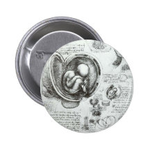 Studies of embryos button