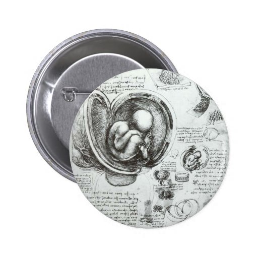Studies of embryos button