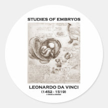 Studies Of Embryos (Leonardo da Vinci) Round Stickers