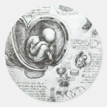 Studies of embryos sticker