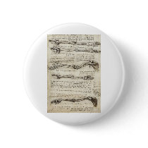 Studies of the Arm by Leonardo Da Vinci c. 1510 Pinback Button