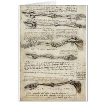Studies of the Arm by Leonardo Da Vinci c. 1510 Cards