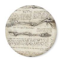 Studies of the Arm by Leonardo Da Vinci c. 1510 Magnets