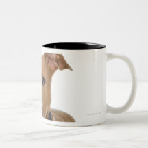 Studio portrait of American pit bull puppy Coffee Mugs