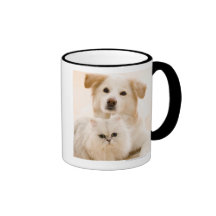 Studio shot of cat and dog coffee mugs
