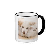Studio shot of cat and dog mug