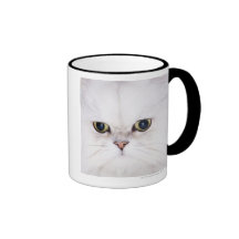 Studio shot of white Persian cat Mug
