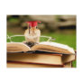 Studious Chipmunk Graduate Postcard