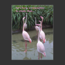 study committee postcards
