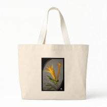 STUDY IN BEAUTY bags