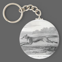 Study of a Fox keychains