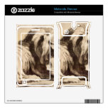 Study of a Lion by Paul Rubens Skin For Motorola Devour