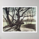 Study of a Tree by Vincent Van Gogh Poster