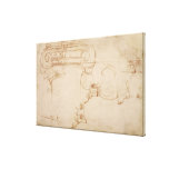 Study of an Ionic capital Gallery Wrap Canvas