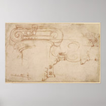 Study of an Ionic capital