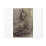 Study of Arms and Hands Postcard