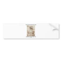 Study Of Brain Physiology (Leonardo da Vinci 1508) Bumper Sticker