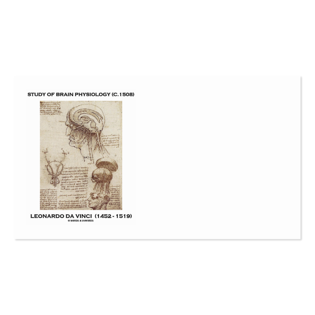 Study Of Brain Physiology (Leonardo da Vinci) Double-Sided Standard Business Cards (Pack Of 100)